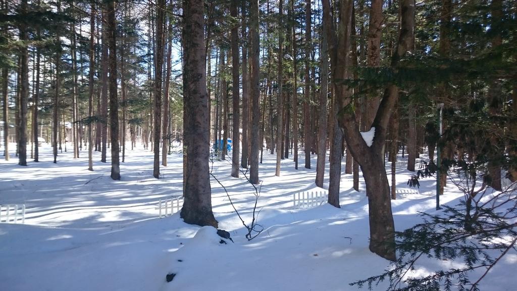 Pension Candytuft Karuizawa Bagian luar foto