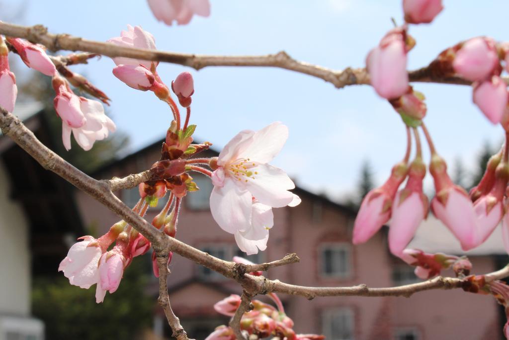 Pension Candytuft Karuizawa Bagian luar foto