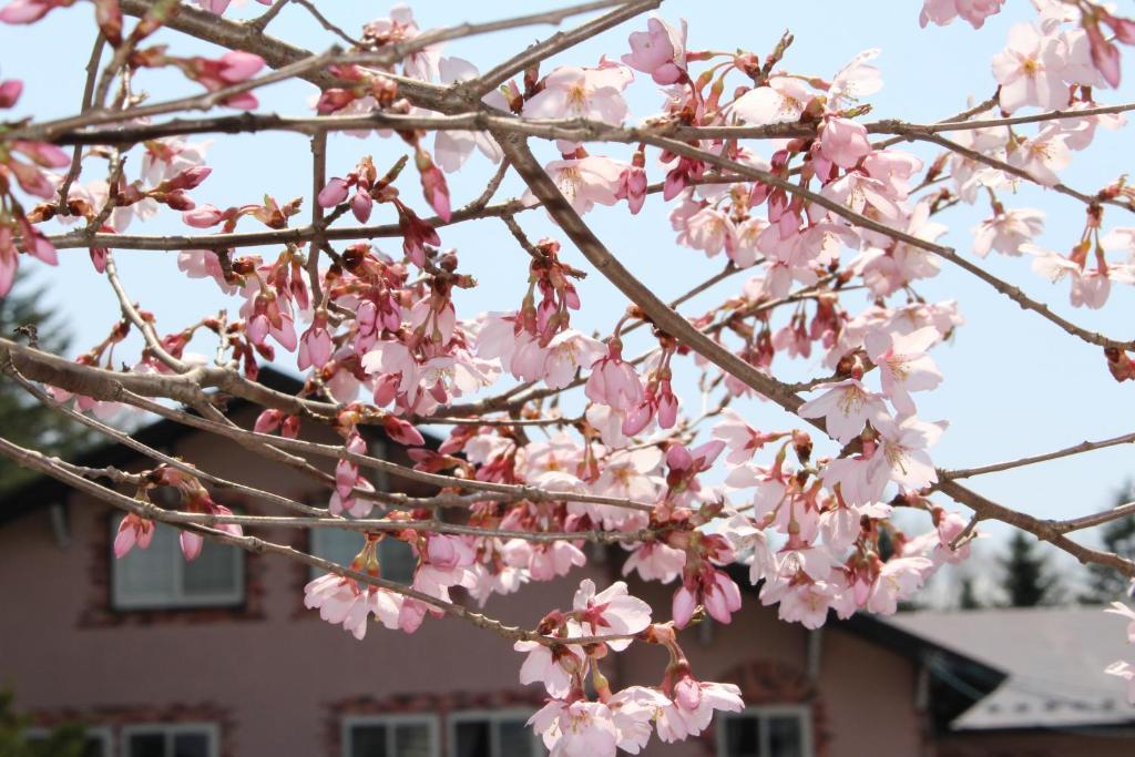 Pension Candytuft Karuizawa Bagian luar foto