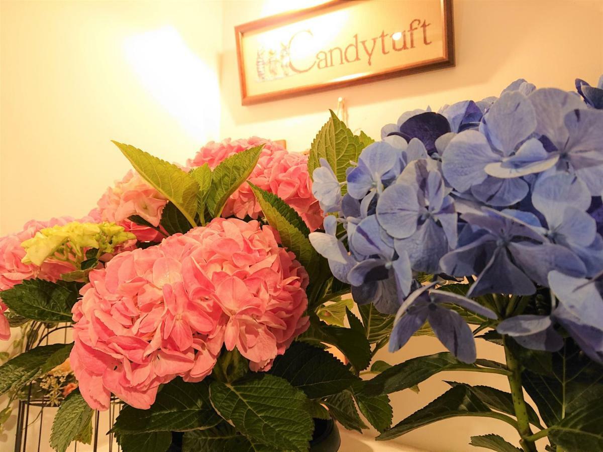 Pension Candytuft Karuizawa Bagian luar foto