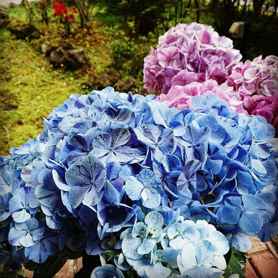 Pension Candytuft Karuizawa Bagian luar foto